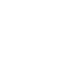 Icona Parcheggio: disponibilità di parcheggio privato per gli ospiti